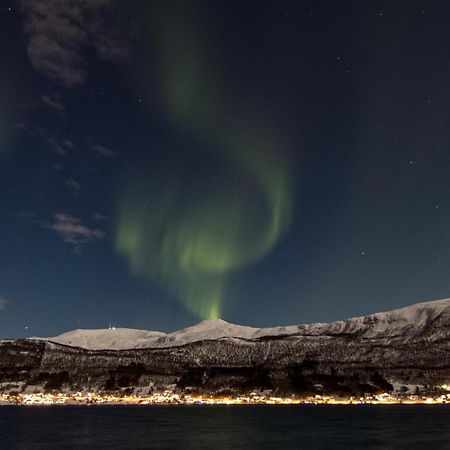 Апартаменти Veien Til Senja Фінснес Екстер'єр фото